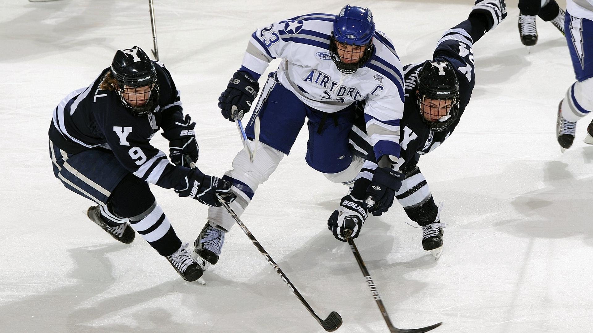 体育场馆改造工程推进