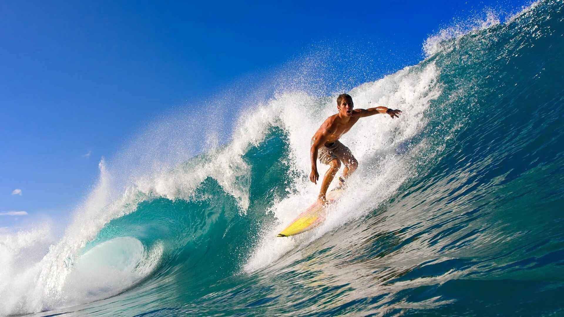 欧冠比赛前景引发球迷关注